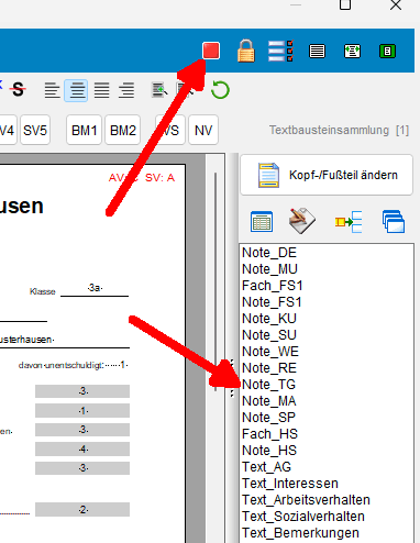 SZ Datenfelder Feldnamen anzeigen